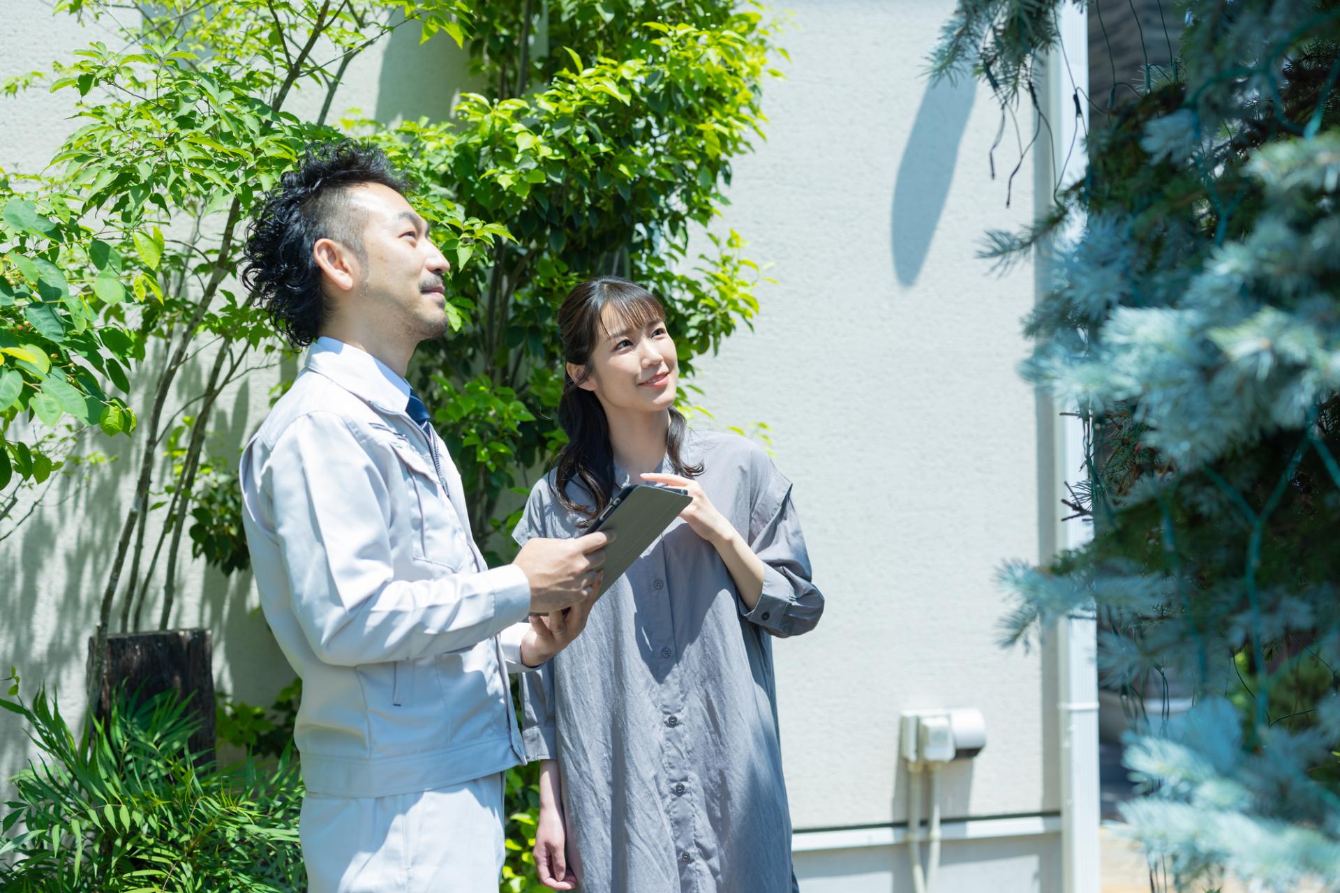 植木