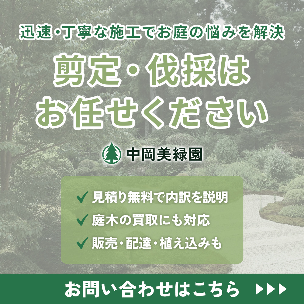 modal_banner